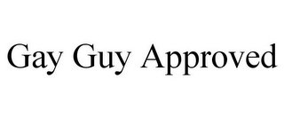 GAY GUY APPROVED