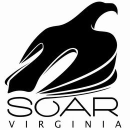 SOAR VIRGINIA