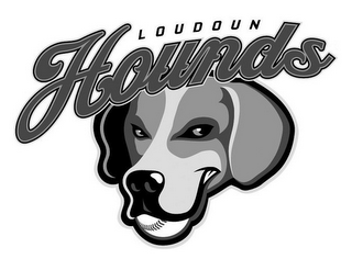 LOUDOUN HOUNDS