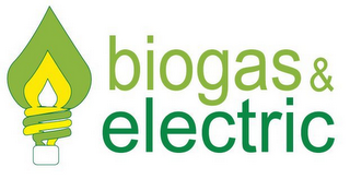 BIOGAS & ELECTRIC