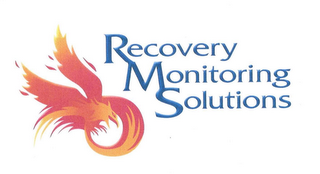 RECOVERY MONITORING SOLUTIONS