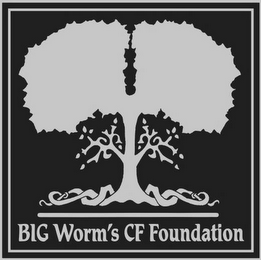 BIG WORM'S CF FOUNDATION