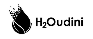 H2OUDINI