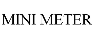 MINI METER