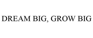 DREAM BIG, GROW BIG