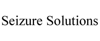 SEIZURE SOLUTIONS