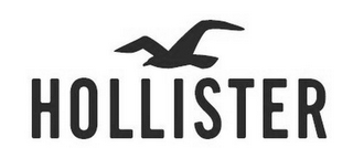 HOLLISTER