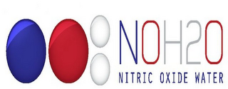 NOH2O NITRIC OXIDE WATER