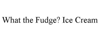 WHAT THE FUDGE? ICE CREAM