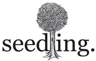 SEEDLING