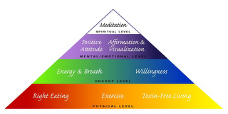 MEDITATION SPIRITUAL LEVEL POSITIVE ATTITUDE AFFIRMATION & VISUALIZATION MENTAL/EMOTIONAL LEVEL ENERGY & BREATH WILLINGNESS ENERGY LEVEL RIGHT EATING EXERCISE TOXIN-FREE LIVING PHYSICAL LEVEL