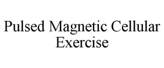 PULSED MAGNETIC CELLULAR EXERCISE