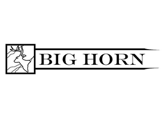 BIG HORN