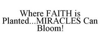 WHERE FAITH IS PLANTED...MIRACLES CAN BLOOM!