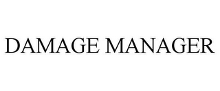 DAMAGE MANAGER