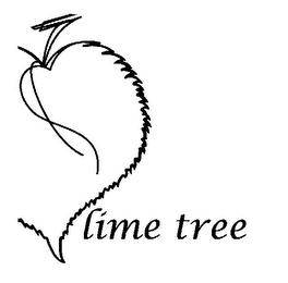 LIME TREE