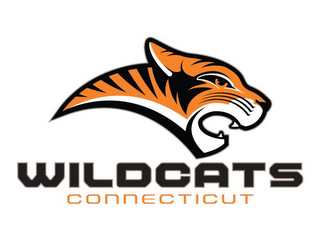 CONNECTICUT WILDCATS