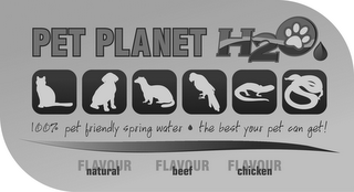 PET PLANET H2O 100% PET FRIENDLY SPRING WATER THE BEST YOUR PET CAN GET! FLAVOUR NATURAL BEEF CHICKEN