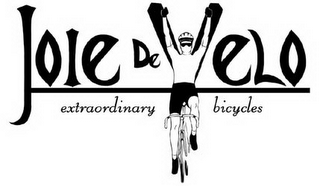 JOIE DE VELO EXTRAORDINARY BICYCLES