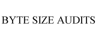 BYTE SIZE AUDITS