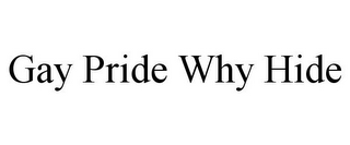 GAY PRIDE WHY HIDE