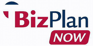 T BIZPLAN NOW