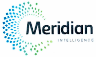 MERIDIAN INTELLIGENCE