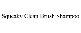 SQUEAKY CLEAN BRUSH SHAMPOO