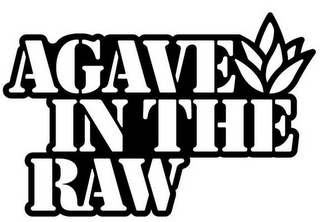 AGAVE IN THE RAW