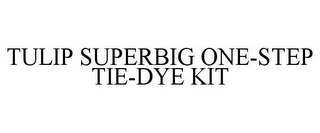 TULIP SUPERBIG ONE-STEP TIE-DYE KIT