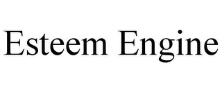 ESTEEM ENGINE