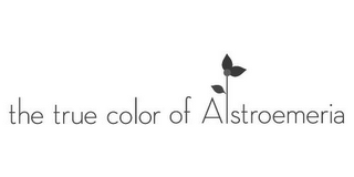 THE TRUE COLOR OF ALSTROEMERIA