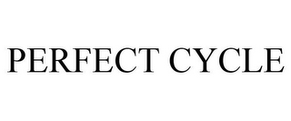 PERFECT CYCLE