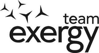 TEAM EXERGY