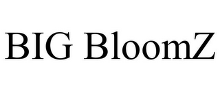 BIG BLOOMZ