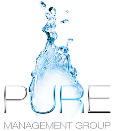 PURE MANAGEMENT GROUP