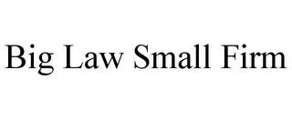BIG LAW SMALL FIRM