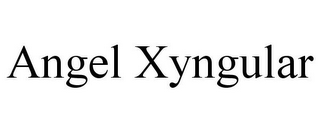 ANGEL XYNGULAR