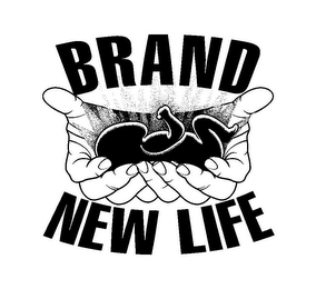 BRAND NEW LIFE