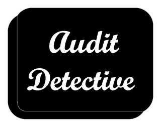 AUDIT DETECTIVE