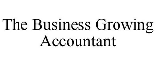 THE BUSINESS GROWING ACCOUNTANT