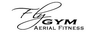 FLY GYM AERIAL FITNESS