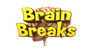 BRAIN BREAKS