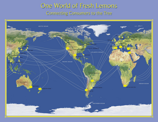 ONE WORLD OF FRESH LEMONS CONNECTING CONSUMERS TO THE TREE" AND "ARCTIC OCEAN, PACIFIC OCEAN, ATLANTIC OCEAN, SOUTHERN OCEAN, INDIAN OCEAN, ASIA, AUSTRALIA, NORTH AMERICA, SOUTH AMERICA, AFRICA, EUROPE, SENDAI, JAPAN, SEOUL, KOREA, TOKYO, JAPAN, SHANGHAI, CHINA, HONG KONG, CHINA, TAIWAN, MANILA, PHILIPPINES, BANGKOK, THAILAND, SIDNEY, AUSTRALIA, AUCKLAND, NEW ZEALAND, SEWARD, ALASKA, KETCHIKAN, ALASKA, SEATTLE, WASHINGTON, SANTA PAULA, CALIFORNIA, LOS ANGELES, MONTERREY, MEXICO, CHICAGO, ILLINOIS, MONTREAL, QUEBEC, CANADA, NEW YORK, NY, WASHINGTON DC, MIAMI, FLORIDA, TUCUMAN, ARGENTINA, BUENOS AIRES, ARGENTINA, SANTIAGO, CHILE, CAPE TOWN, SOUTH AFRICA, ISRAEL, KONYA, TURKEY, NAPLES, ITALY, VALENCIA SPAIN, PARIS, FRANCE, BIRMINGHAM, UK, FRANKFURT, GERMANY, OSLO, NORWAY, STOCKHOLM, SWEDEN, WARSAW, POLAND, ST. PETERSBURG, RUSSIA, AND MOSCOW, RUSSIA