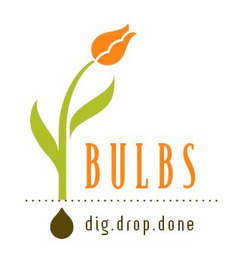 BULBS DIG.DROP.DONE
