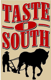 TASTE O SOUTH TASTE O SOUTH