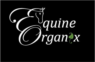 EQUINE ORGANIX