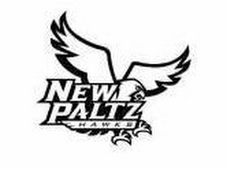 NEW PALTZ HAWKS