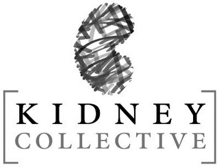 KIDNEY COLLECTIVE