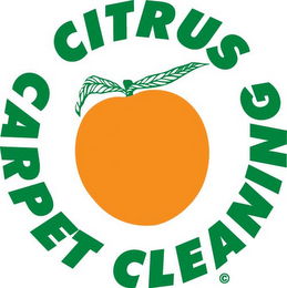 CITRUS CARPET CLEANING